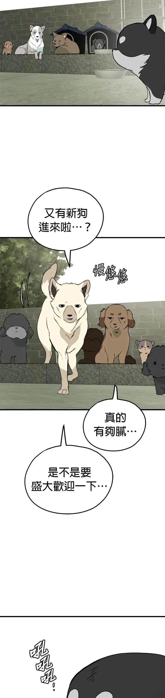 第85话 第38页