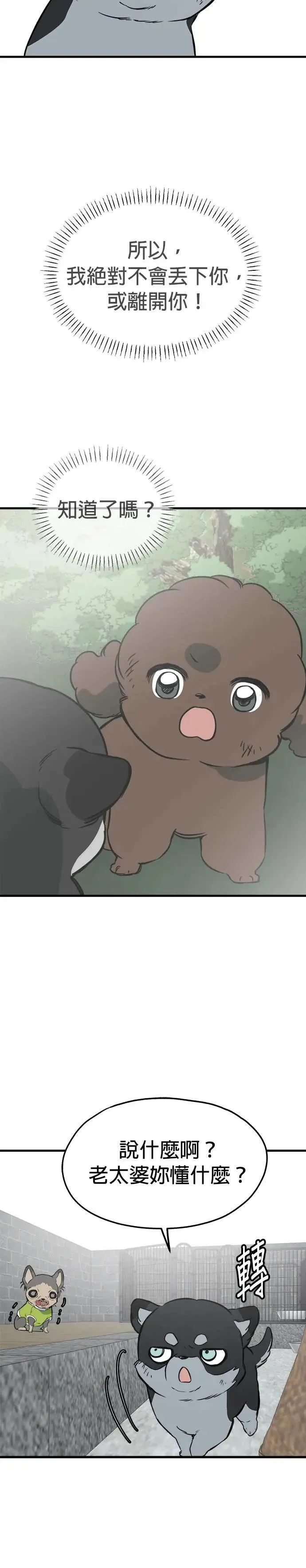 第86话 第19页