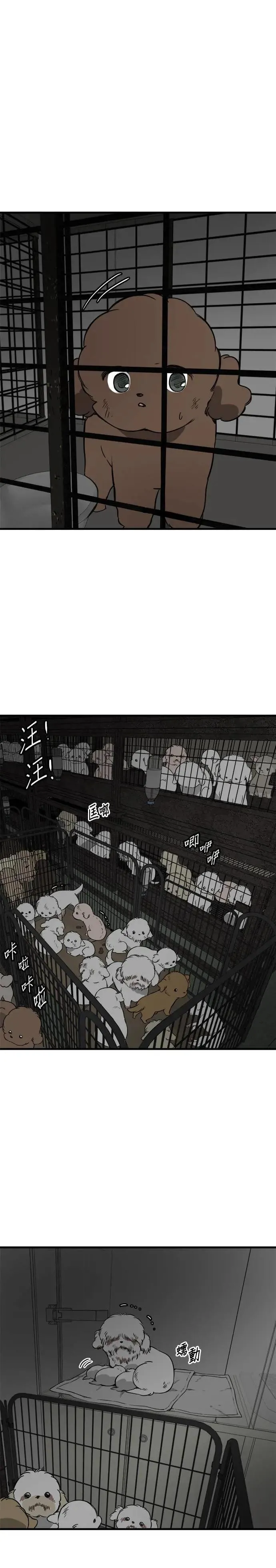第86话 第39页