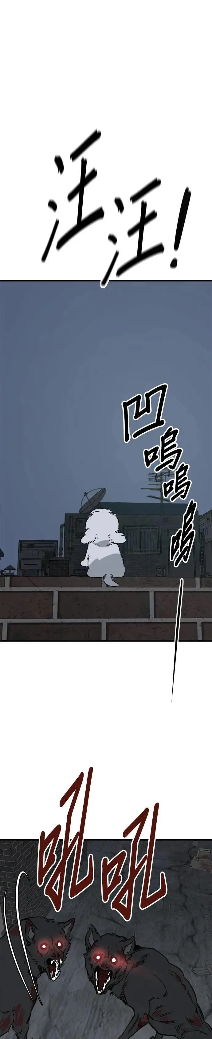 第91话 第19页