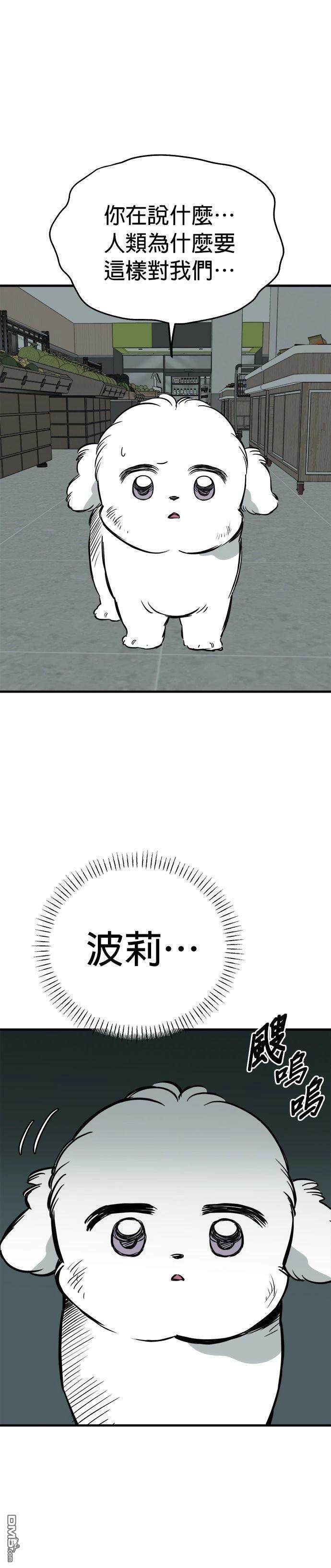 第93话 第12页