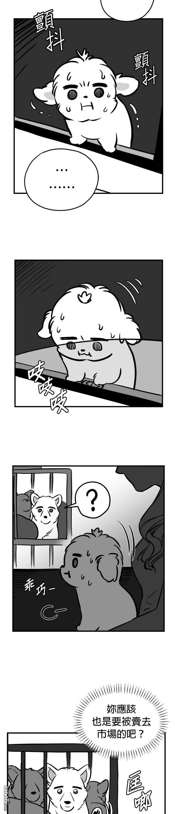 第1季後記 第15页