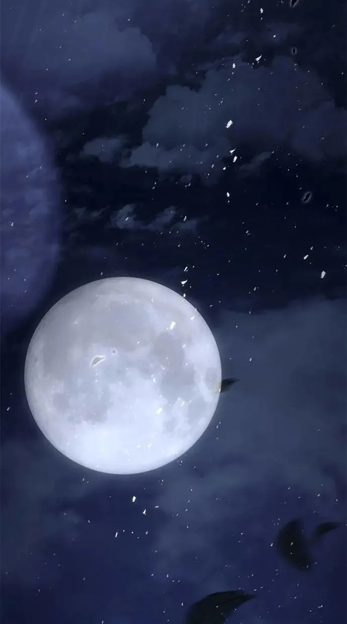 第78话 第41页