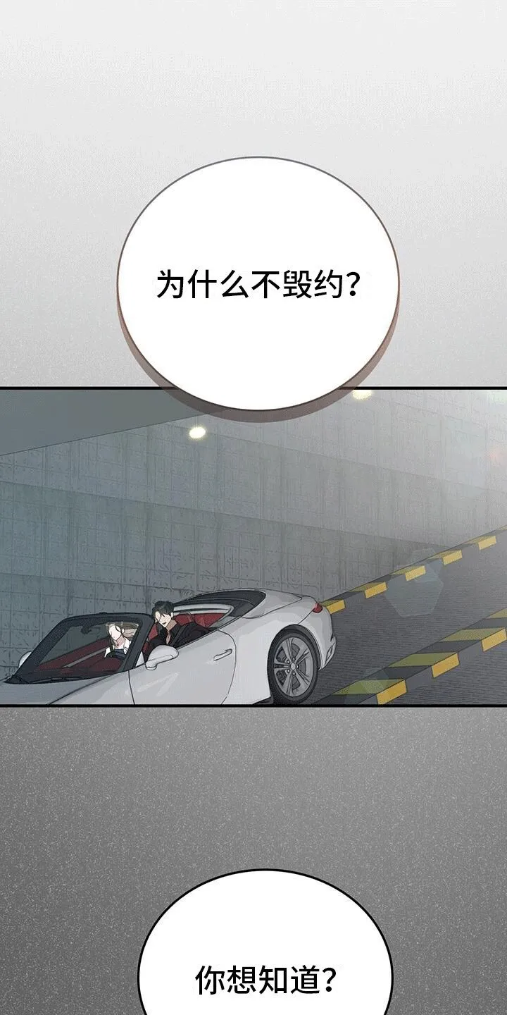 第6章：目的 第11页