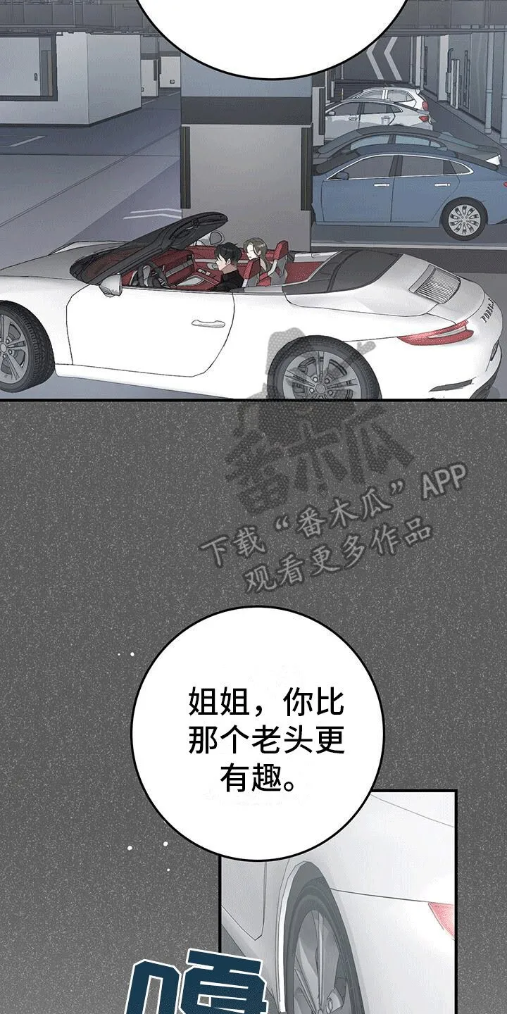 第6章：目的 第13页
