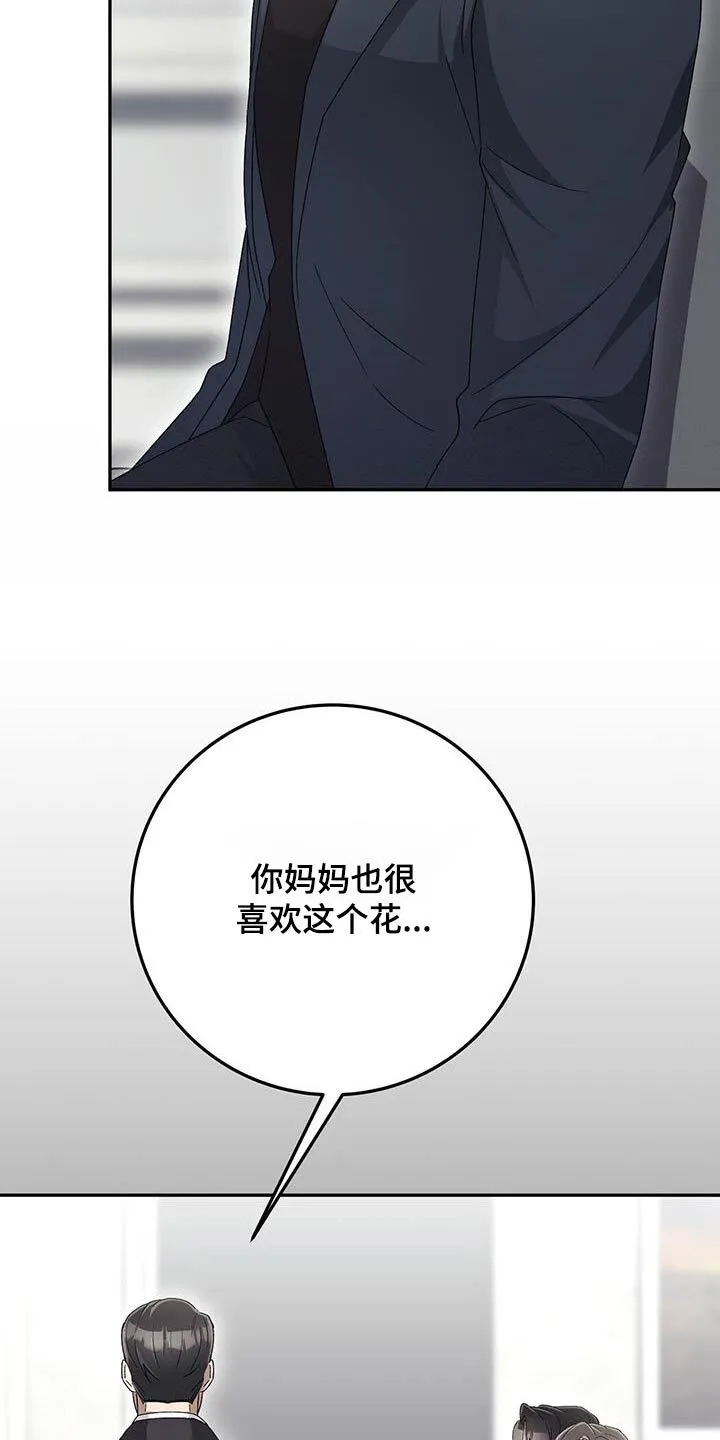 第28章：最后的礼物 第20页