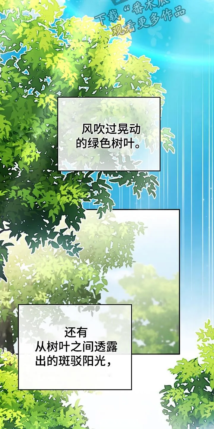 第42章：记忆 第16页