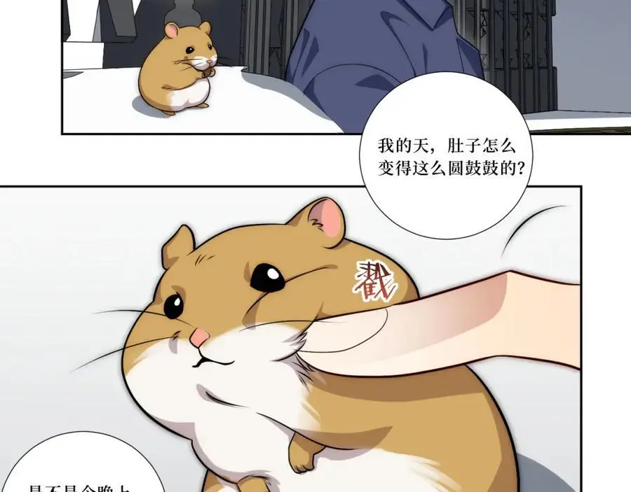 80-一起回家？ 第67页