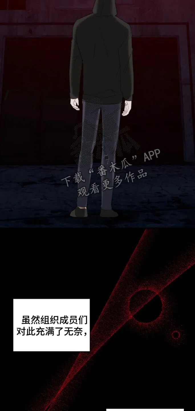第18章：全部 第24页