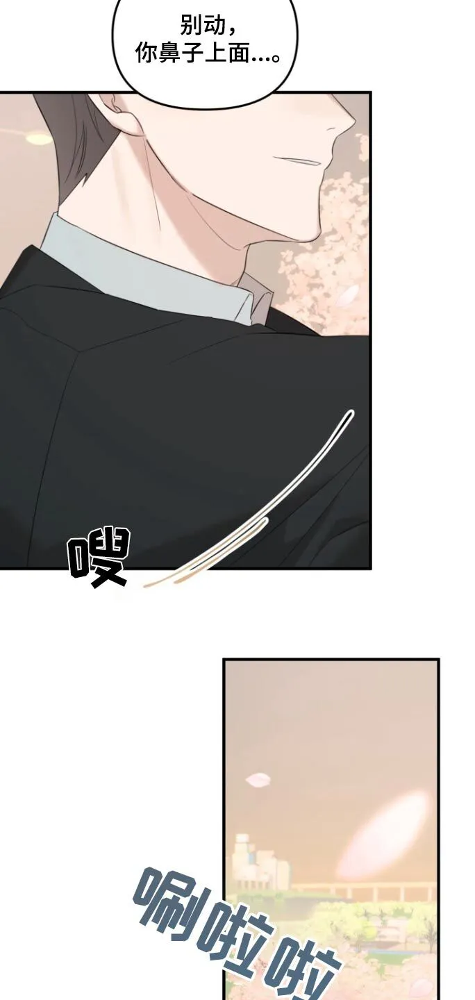 第28章：抓拍 第12页