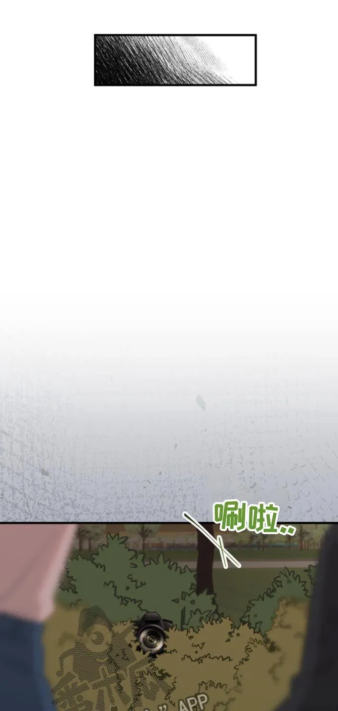 第28章：抓拍 第22页