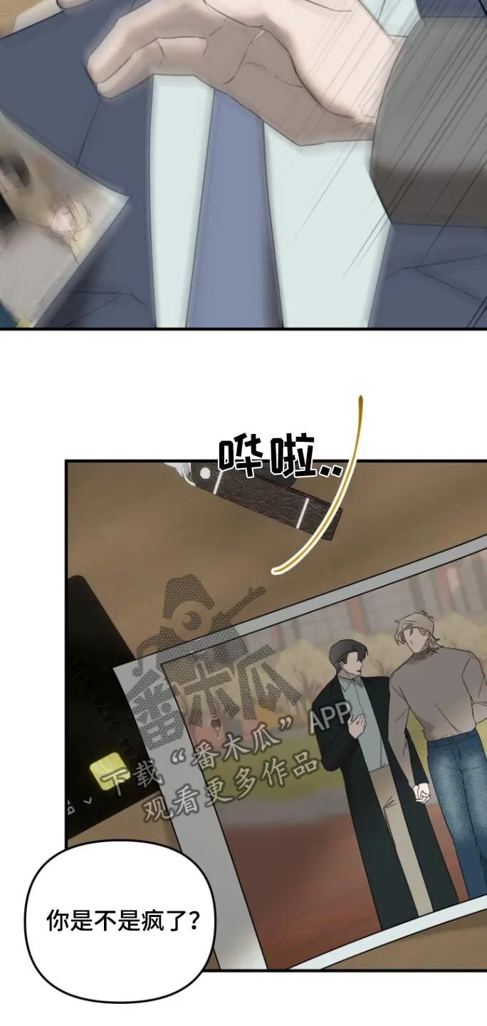 第31章：可恶 第5页