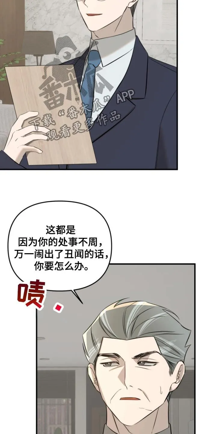 第40章：利益安排 第12页