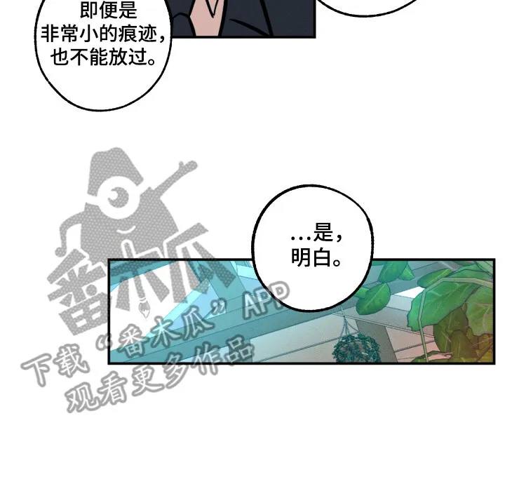 第12章：着手调查 第16页