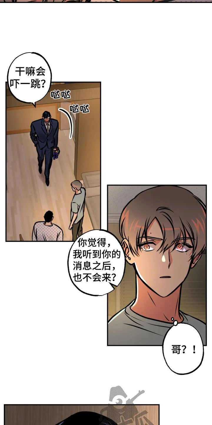 第33章：重要的话 第17页
