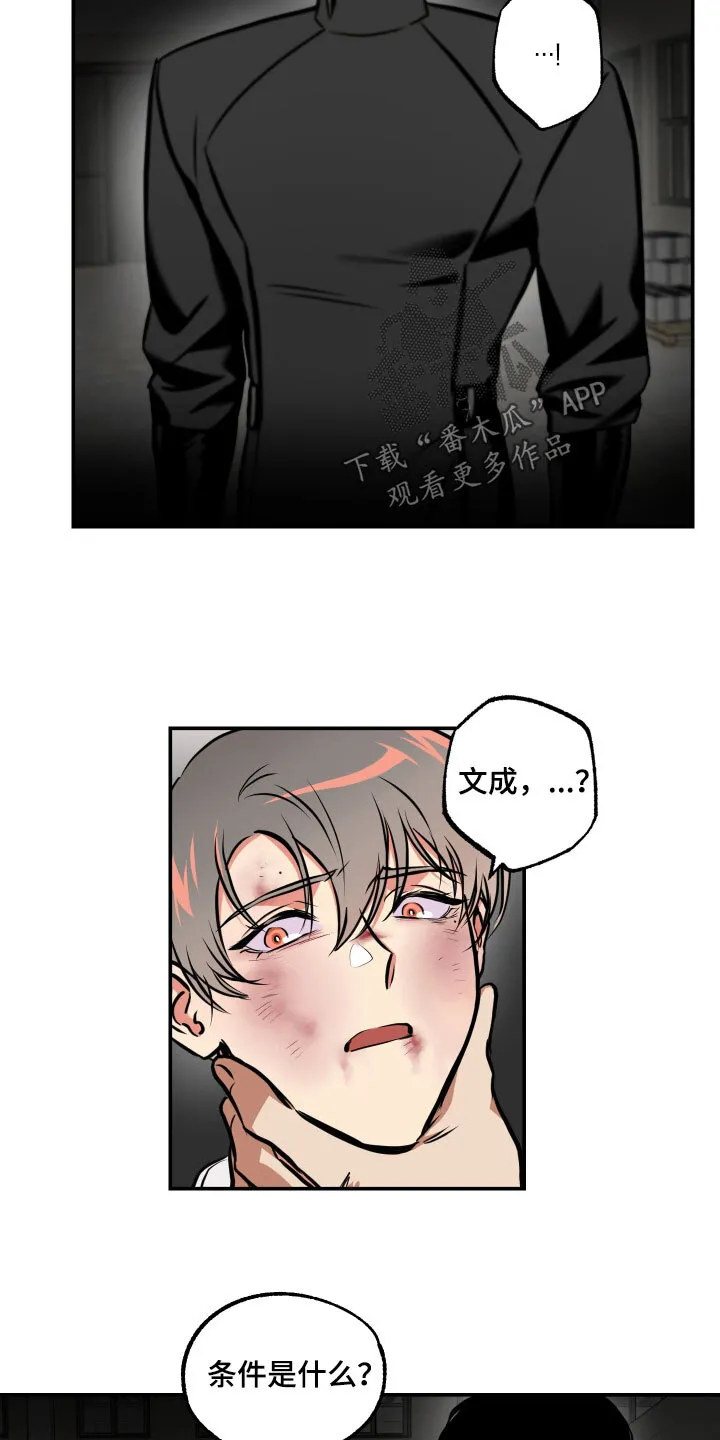 第58章：条件 第9页