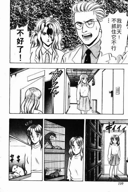 第8卷 第111页