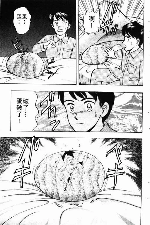 第9卷 第66页