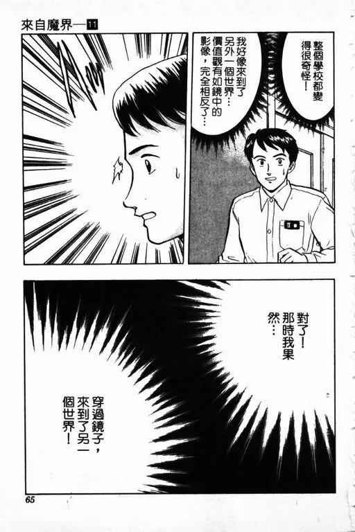 第11卷 第66页