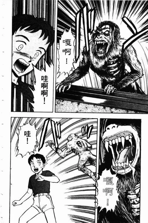 第12卷 第59页