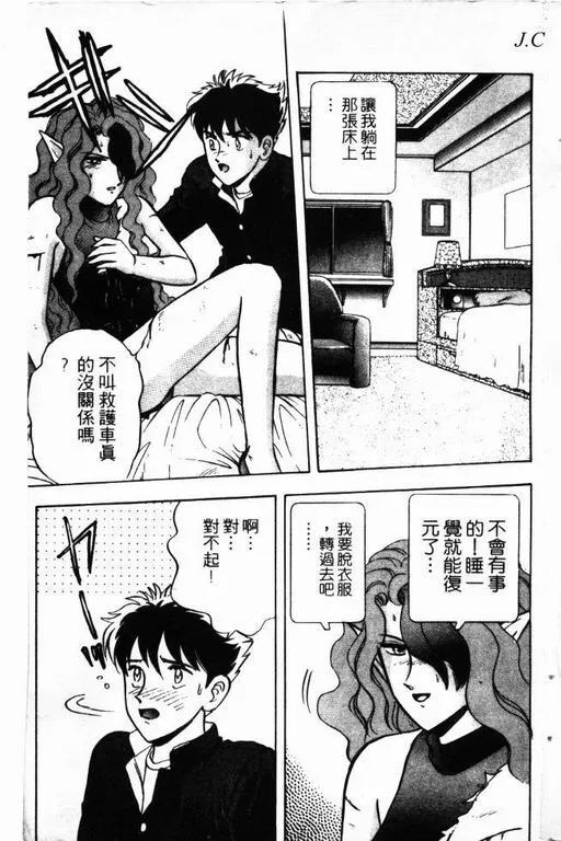 第13卷 第104页
