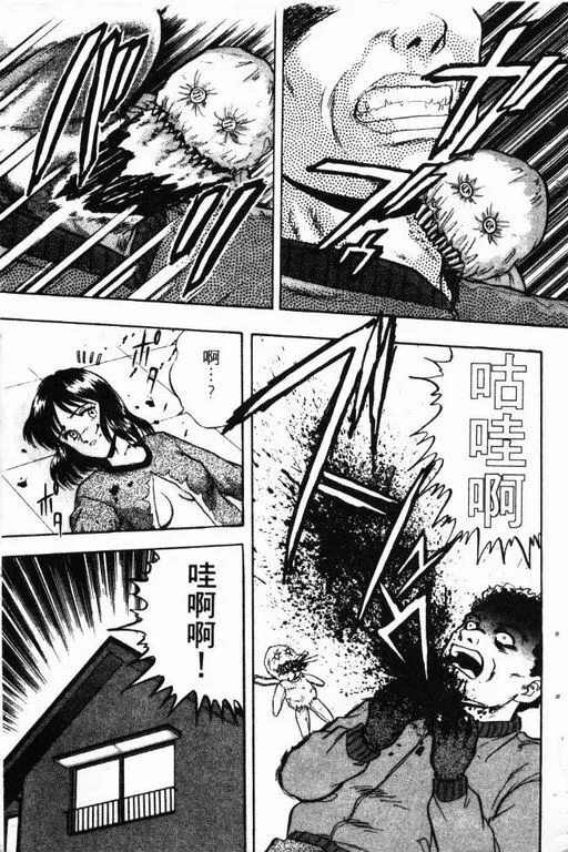第13卷 第186页