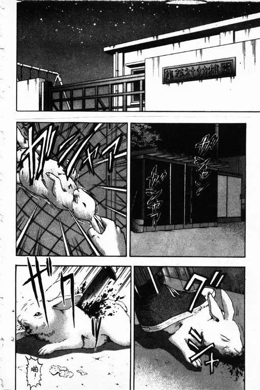 第14卷 第29页