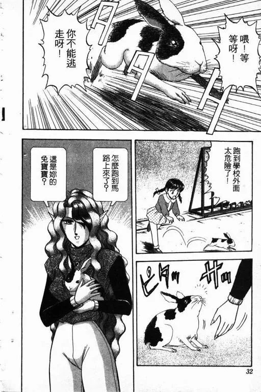 第14卷 第33页