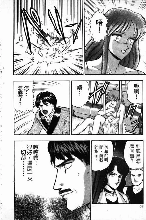 第15卷 第65页