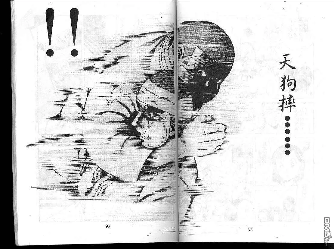 第15卷 第48页