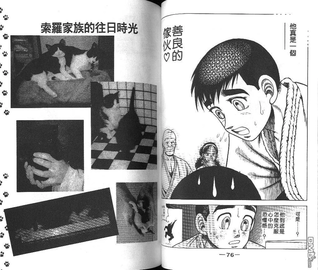 第19卷 第38页