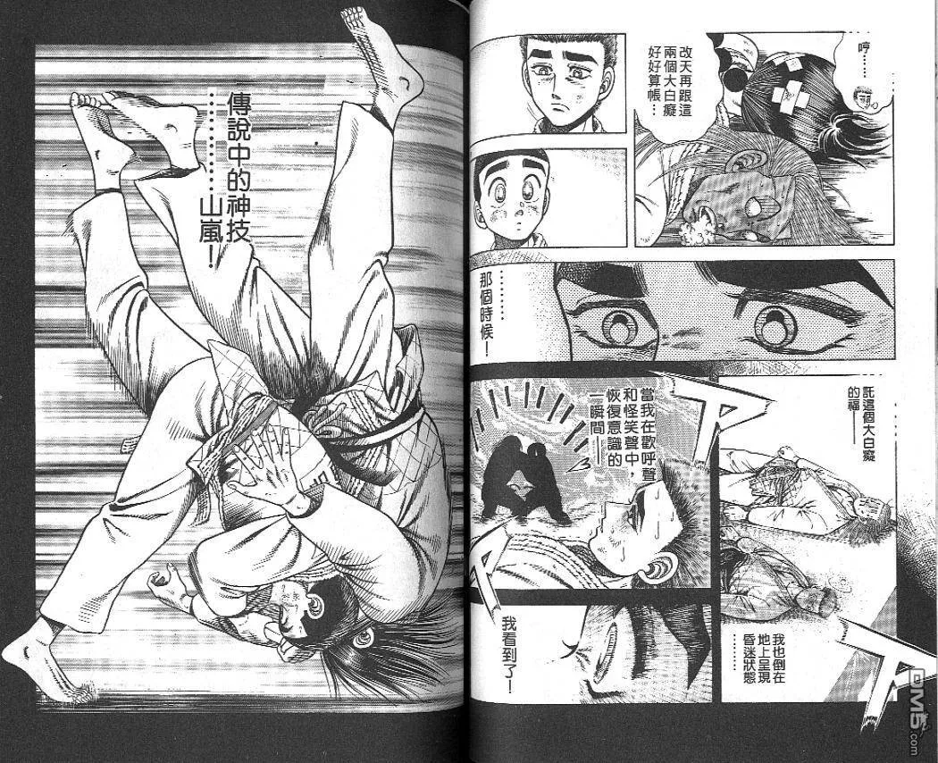 第19卷 第43页