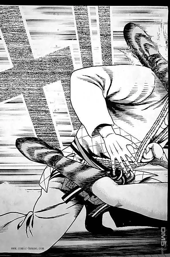 第25卷 第157页