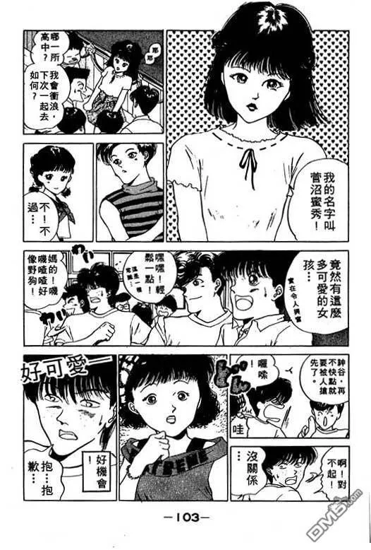 第8卷 第104页