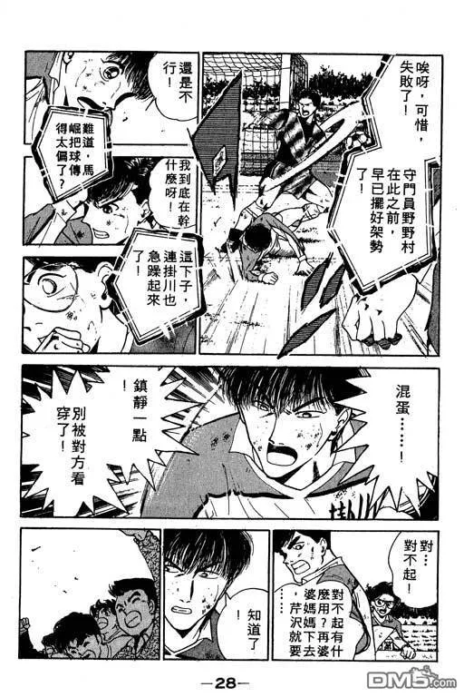 第13卷 第29页