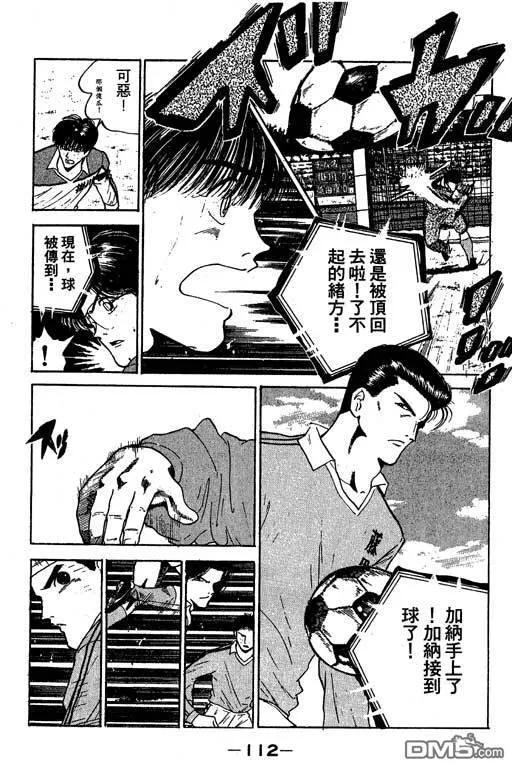 第14卷 第113页