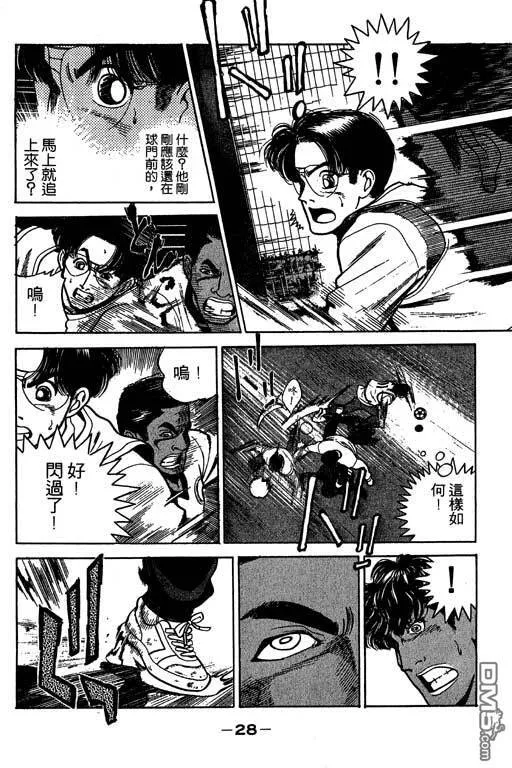 第31卷 第29页