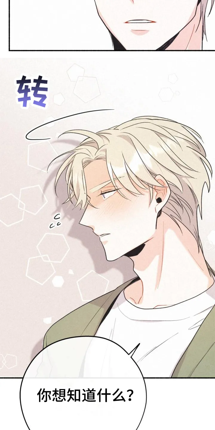 第15章：询问 第12页
