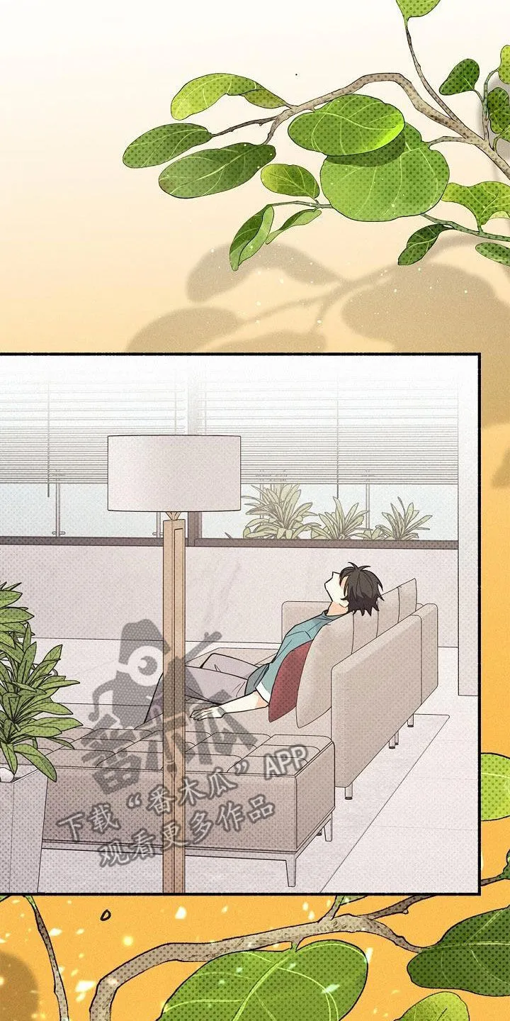 第50章：不能烦他 第26页