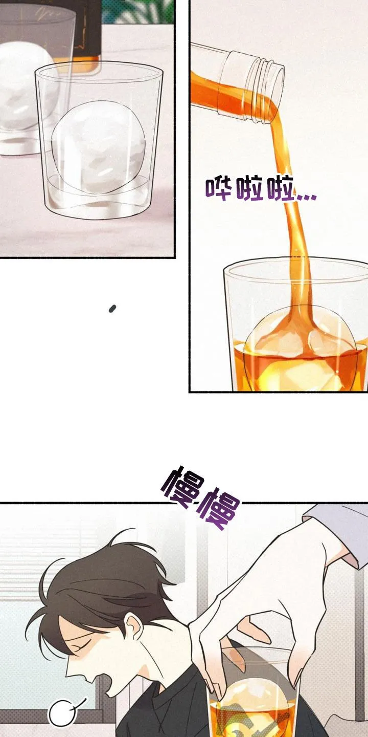 第57章：没喝醉过 第17页