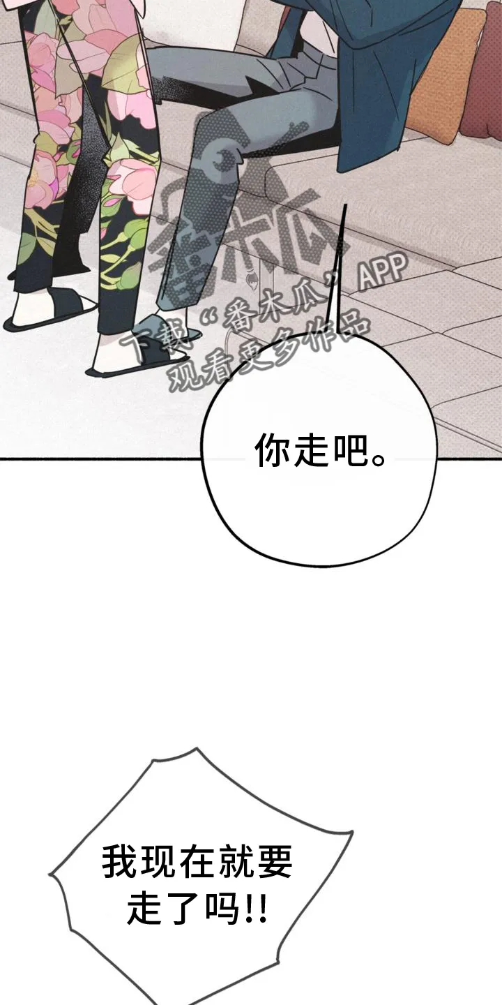第62章：关系 第16页