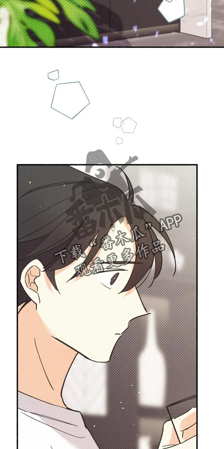 第62章：关系 第20页