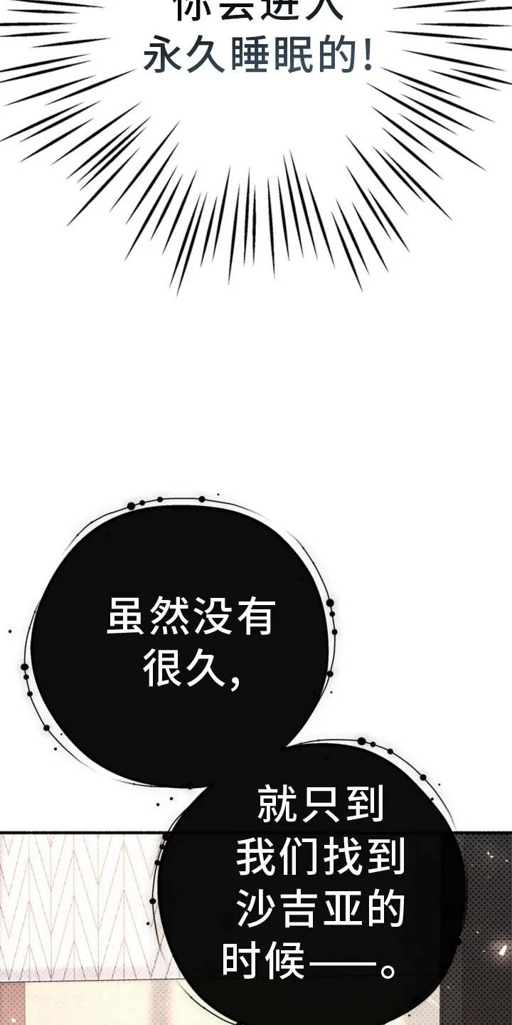 第63章：行李 第7页