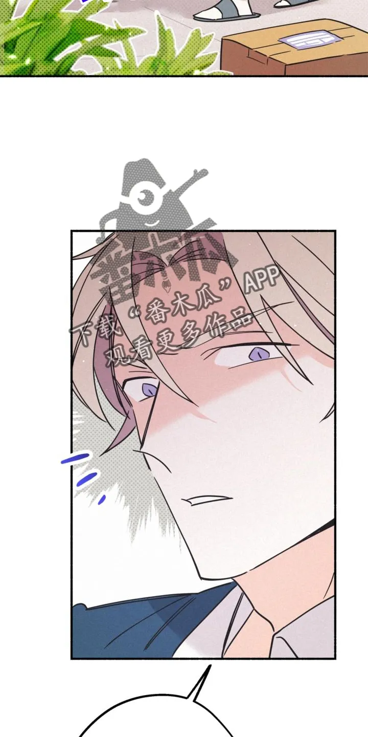 第63章：行李 第14页