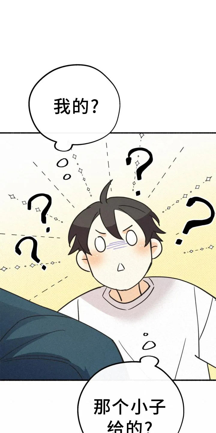 第63章：行李 第17页