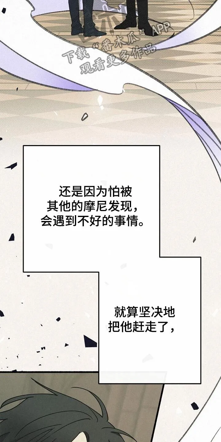 第70章：一切 第9页