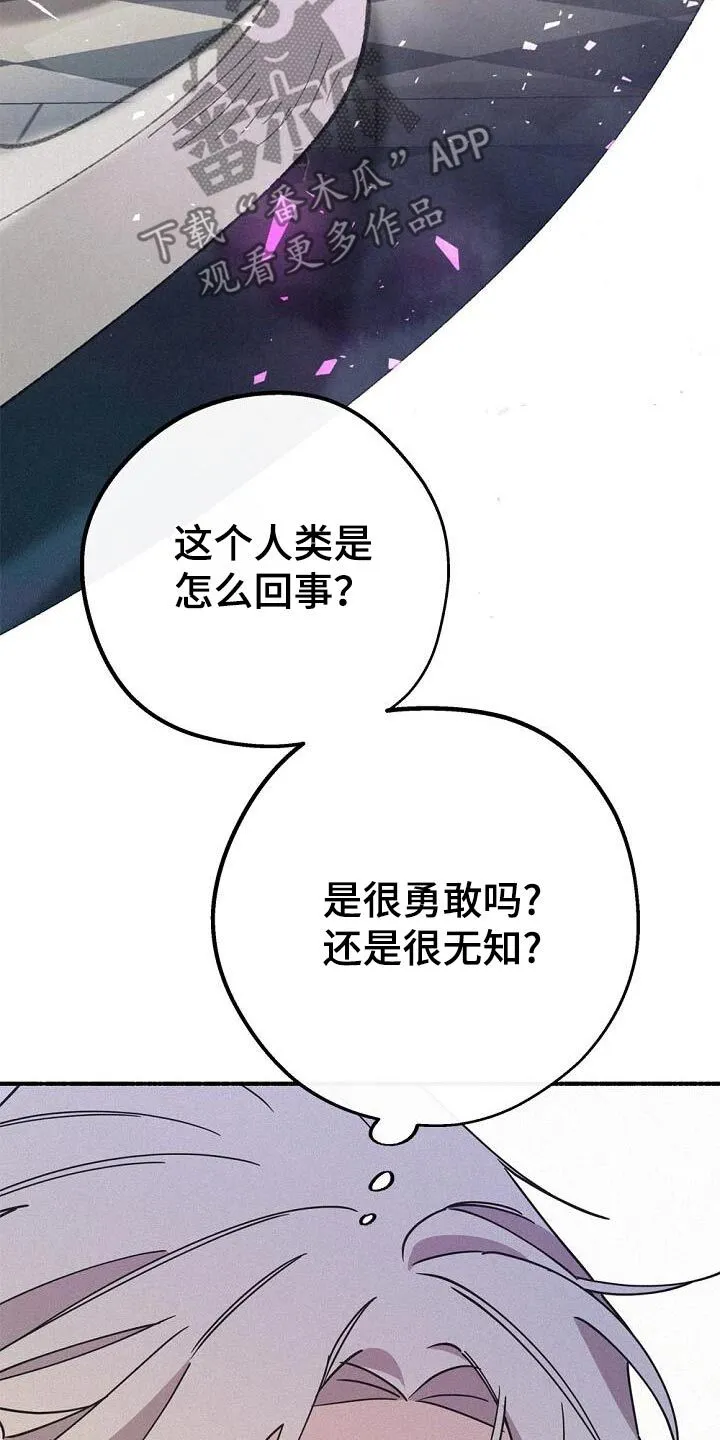 第70章：一切 第13页