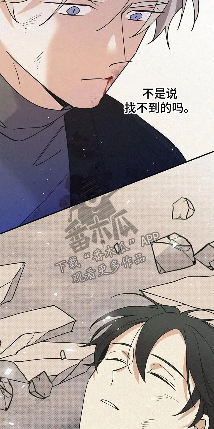第70章：一切 第15页