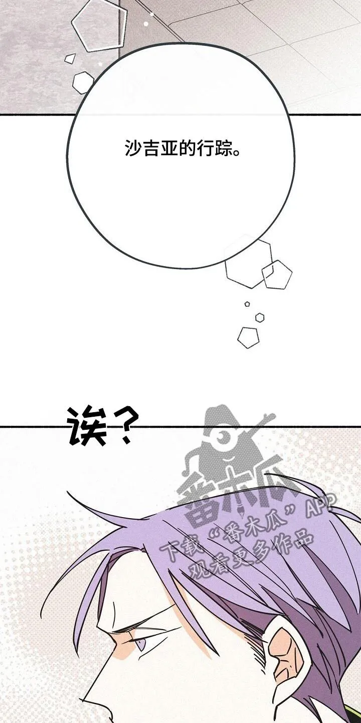 第71章：很准确 第10页