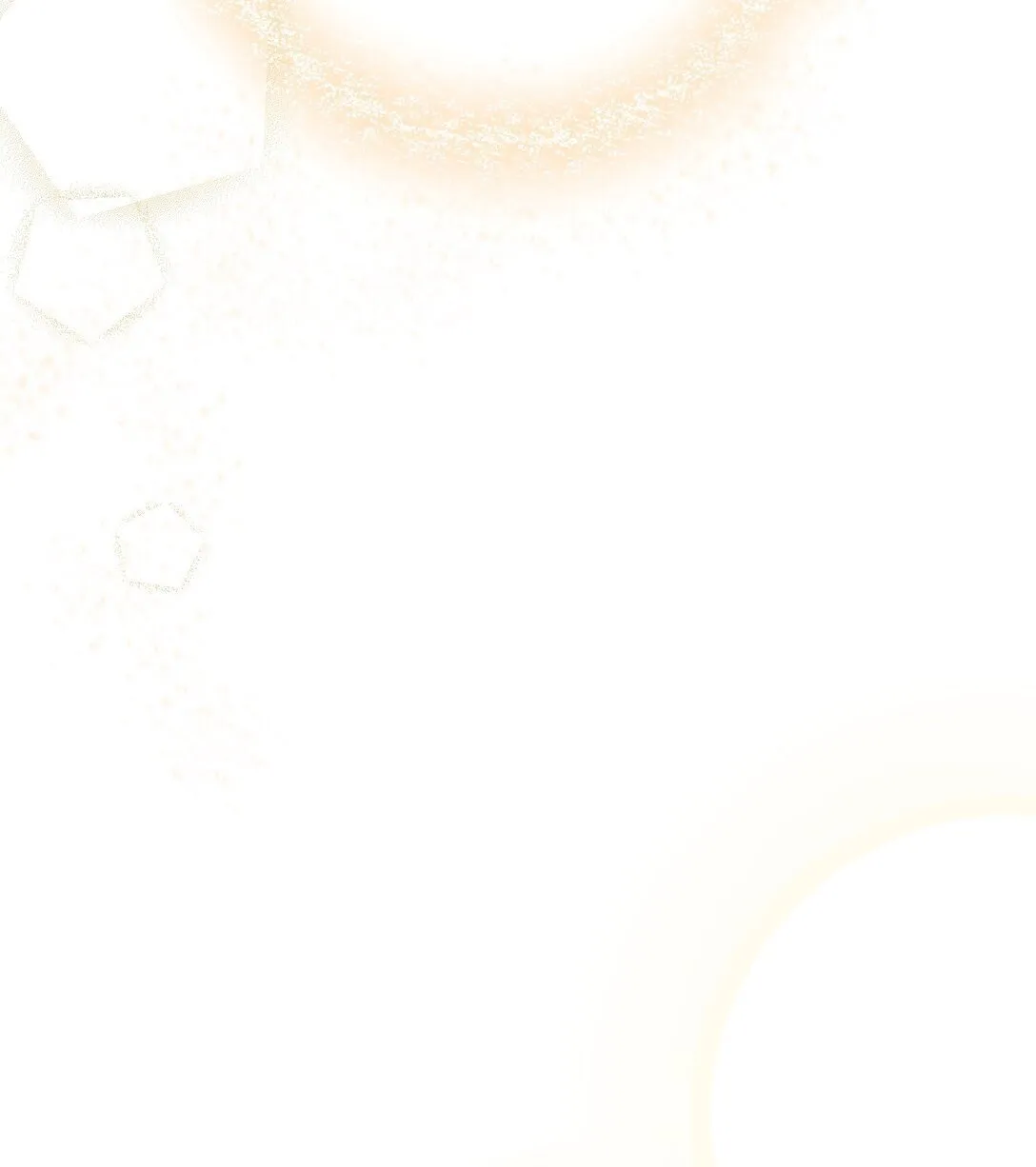 51 51 第33页